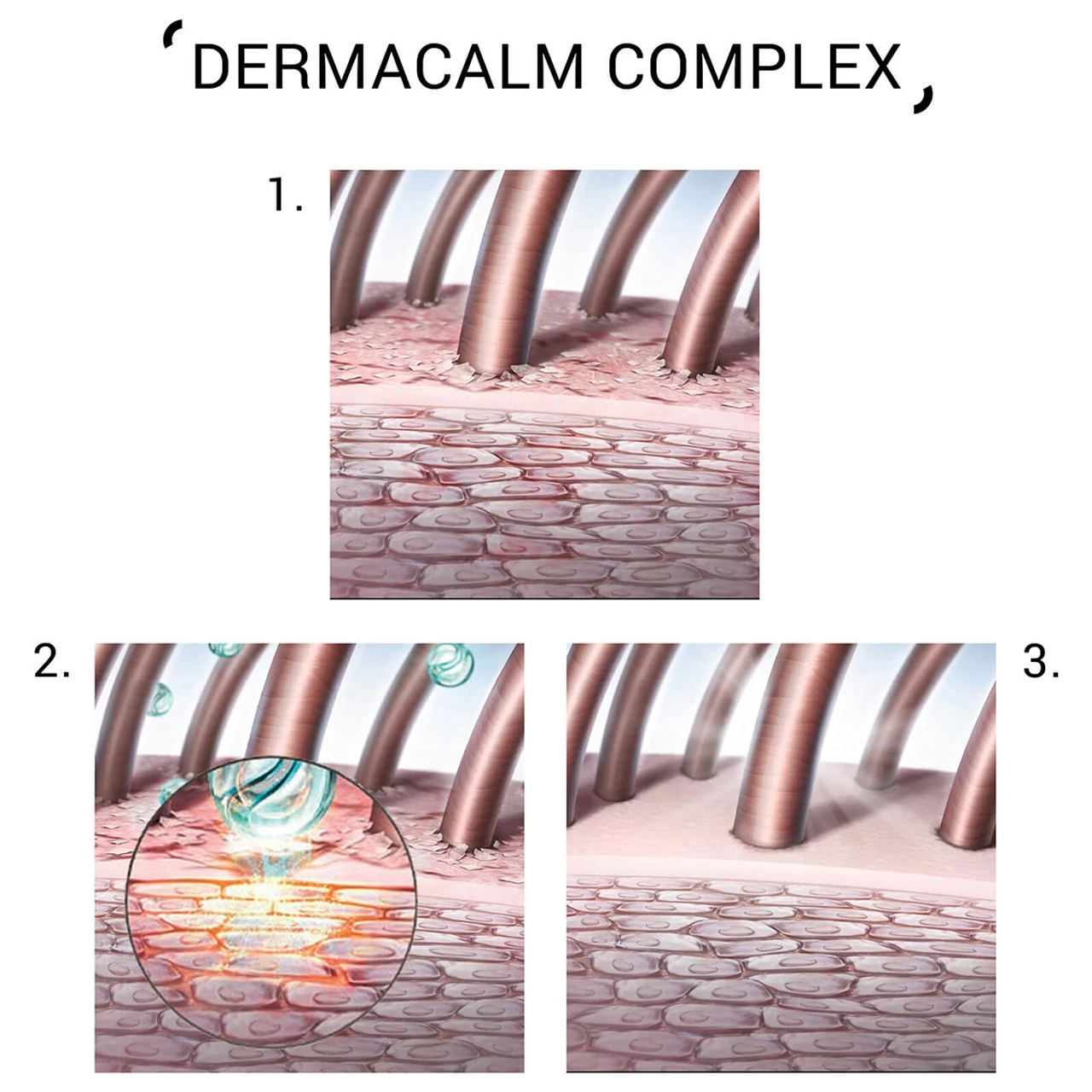 Balance Shampoo 1000ml System Professional 4 Balance Shampoo 1000ml System Professional – Image 2